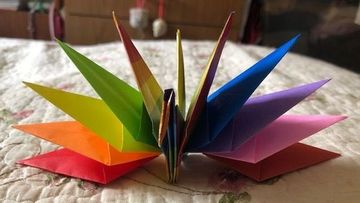 Rainbow Crane (wings folded up)!